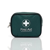 Blue Dot One Person Travel Kit In Green Zipped Bag